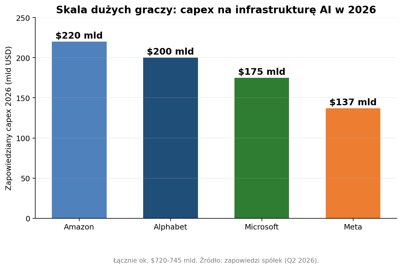 Skala dużych graczy